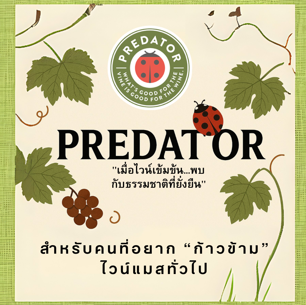 PREDATOR WINE (ไวน์เต่าทอง) "เมื่อไวน์เข้มข้น...พบกับธรรมชาติที่ยั่งยืน"