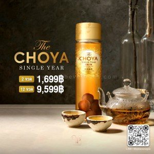 THE CHOYA SINGLE YEAR