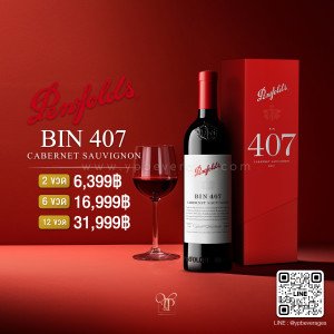 PENFOLDS BIN 407 CABERNET SAUVIGNON 2022