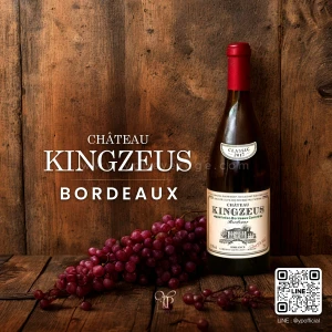 CHATEAU KINGZEUS BORDEAUX