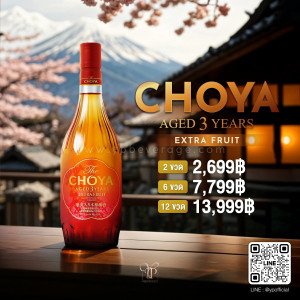 CHOYA AGED 3 YEARS EXTRA FRUIT