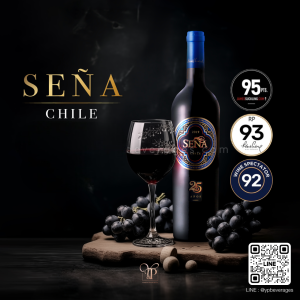 SEÑA CHILE 2019 / 2021
