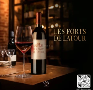 LES FORTS DE LATOUR