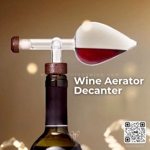 WINE AERATOR DECANTER
