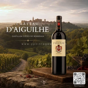 CHÂTEAU D'AIGUILHE 2019 | Castillon Côtes de Bordeaux